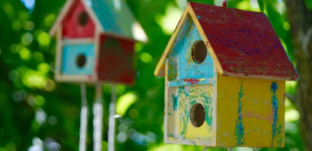 How to Brighten Your Community Garden