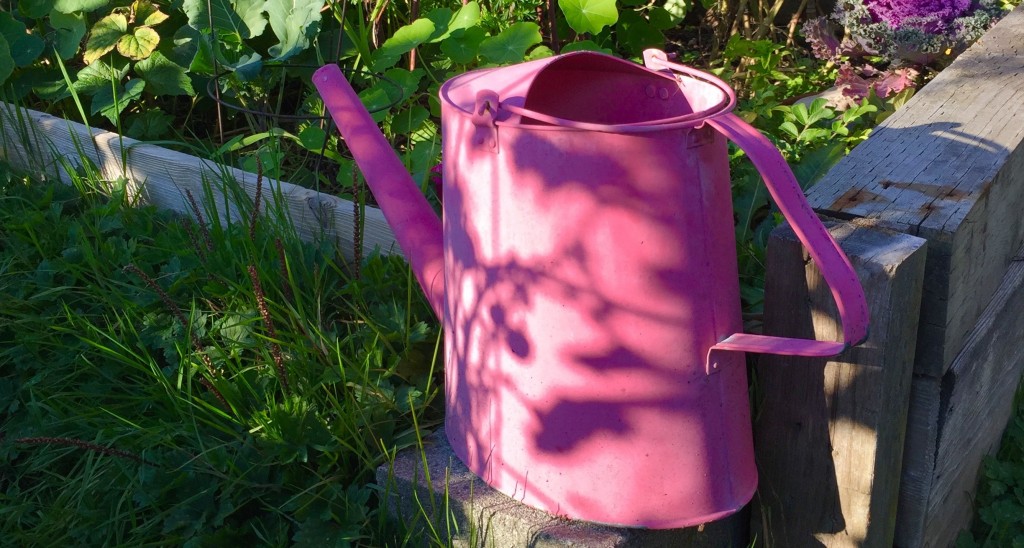 How to Brighten Up Your Community Garden