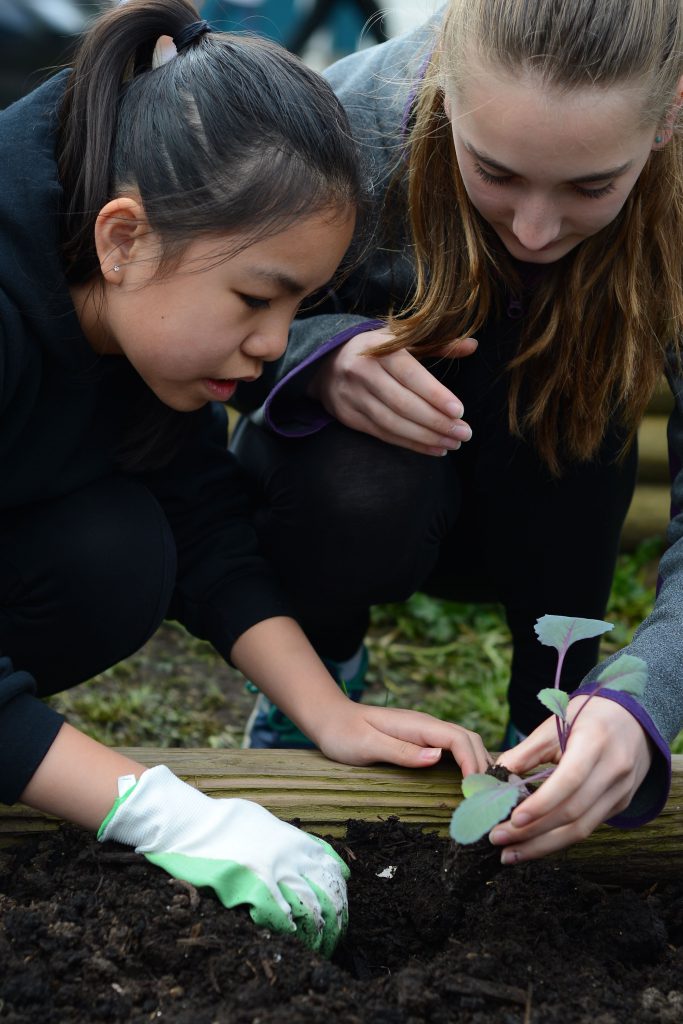 Two Lochdale Community School students planting