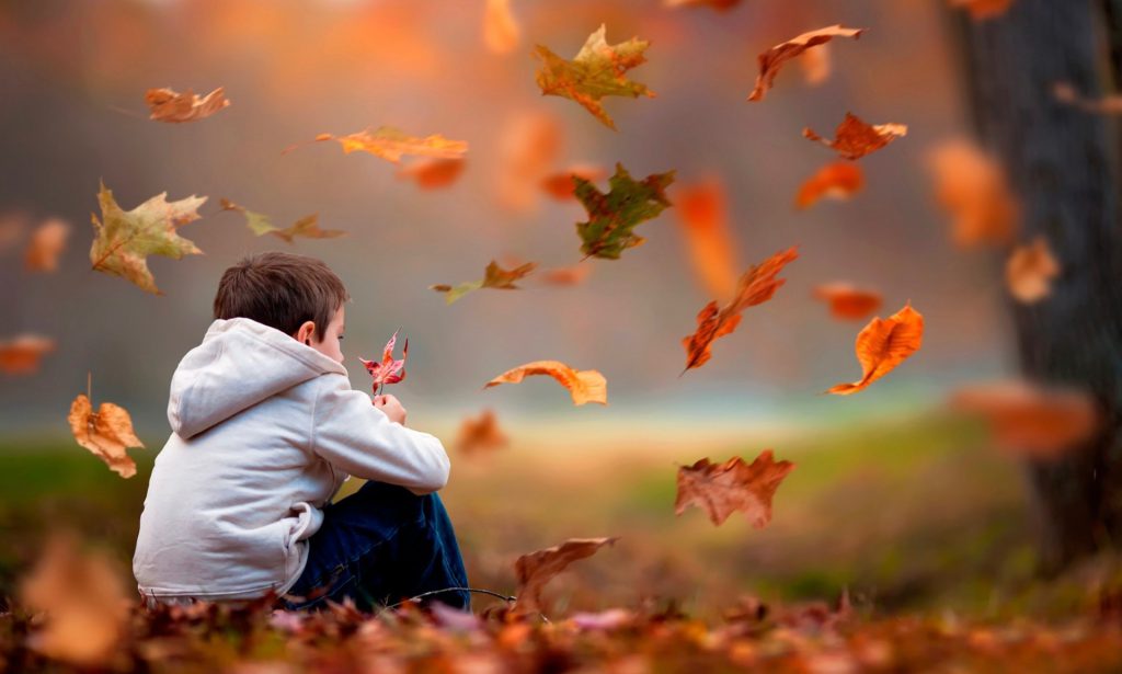 autumn-education-activities-for-kids