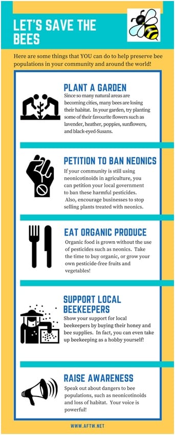 How to Save Bees Infographic