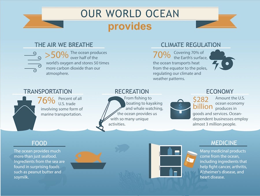 keep plastic out of the ocean
