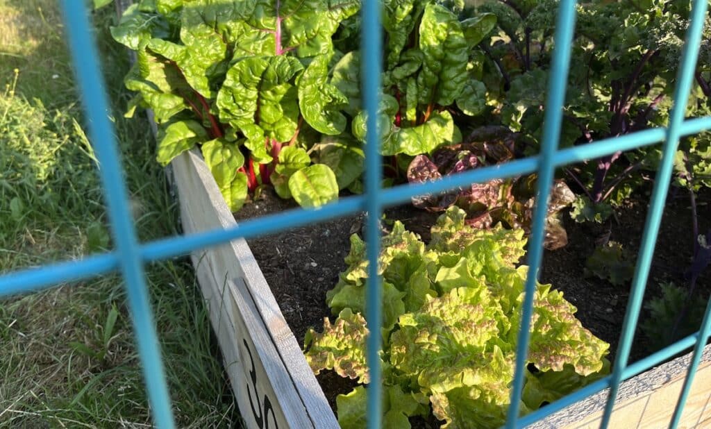 Barriers to Food Security in Canada
