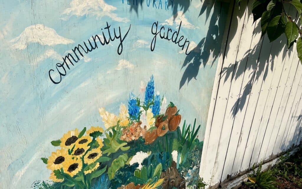 Benefits of Community Garden