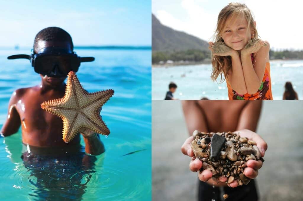 Ocean Learning Experiences Gardening