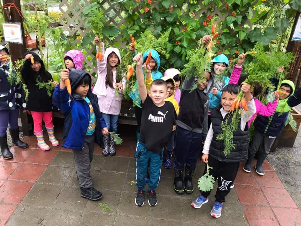 Earth Day Events Canada 2025