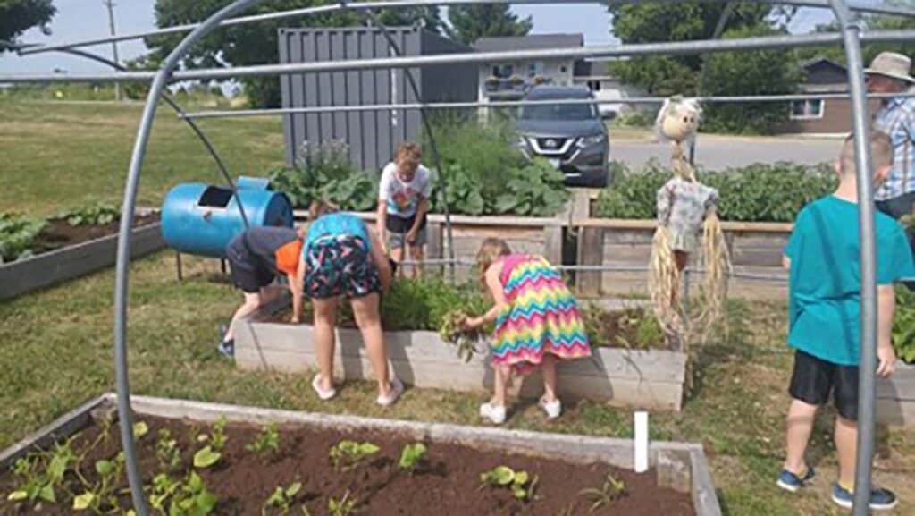 How Natural Health Retailers Are Helping School Gardens Thrive