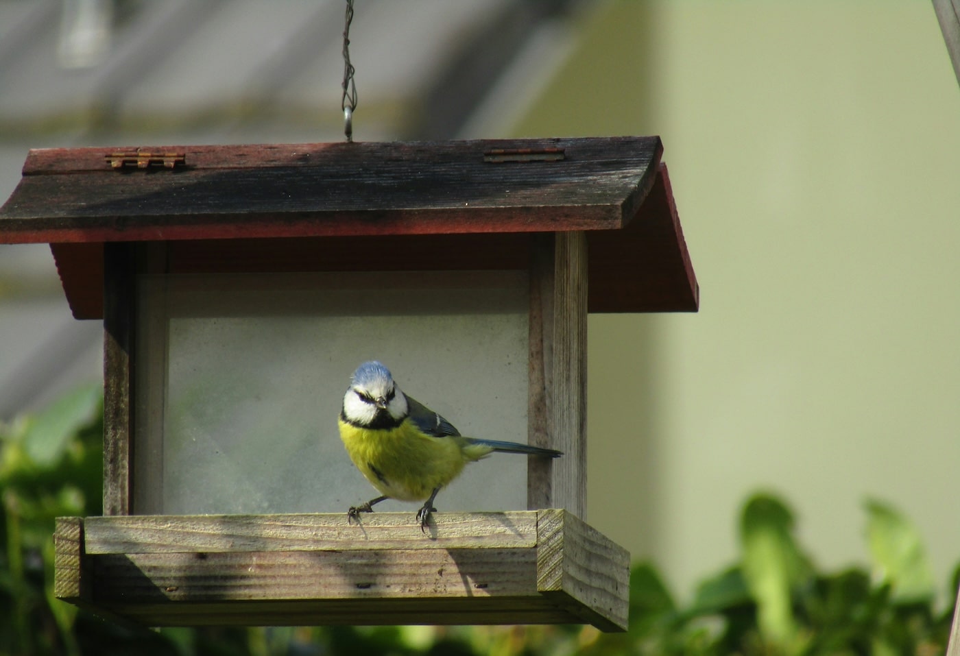 How to Bring Nature Into Your Home