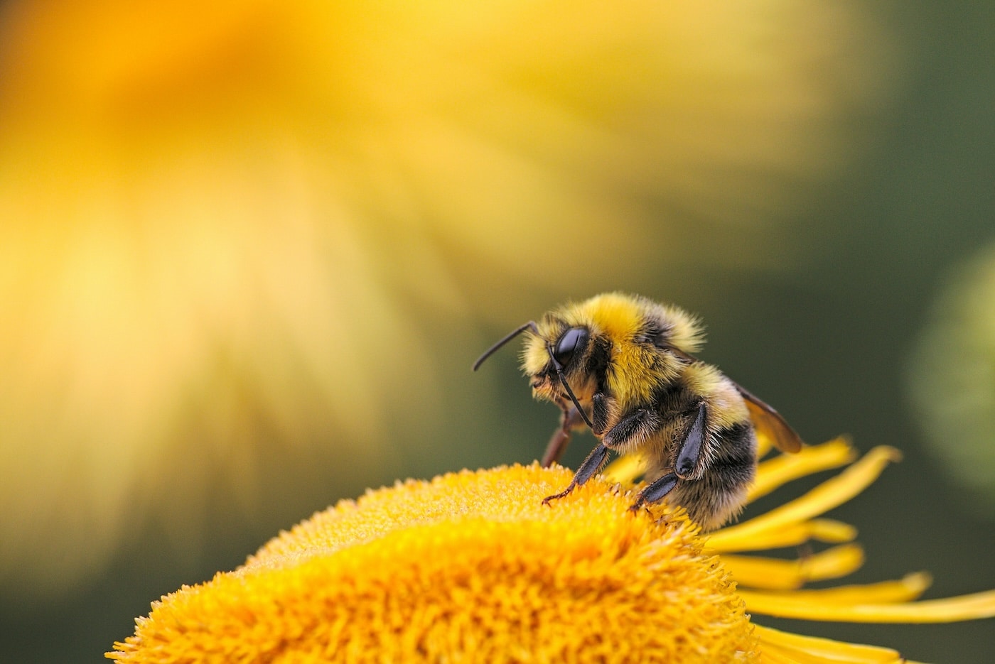 How to Teach Generosity to a Child Through Examples in Nature