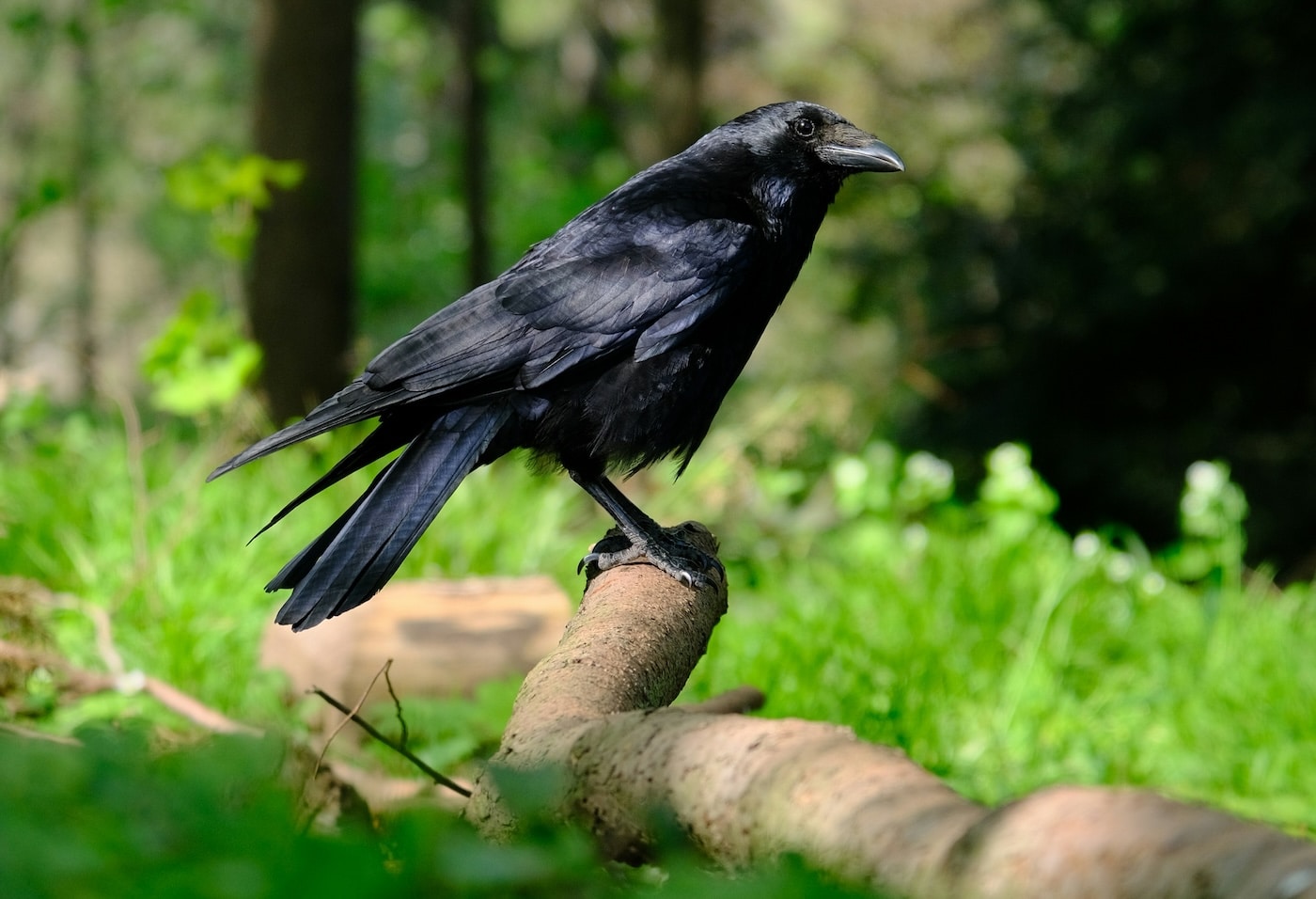 How to Teach Generosity to a Child Through Examples in Nature