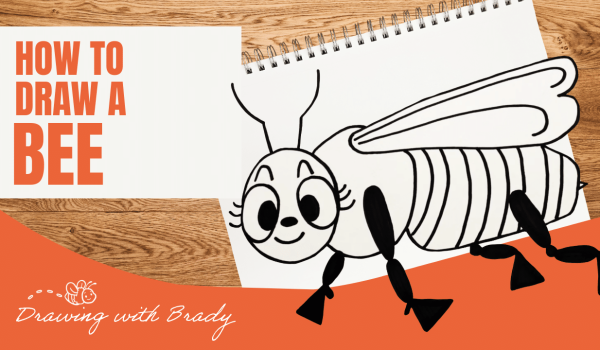 Drawing with Brady Thumbnails-5- Bee Final