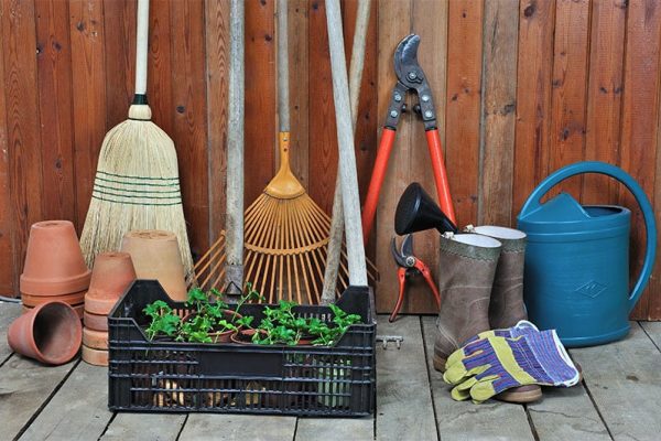 Help-Provide-a-School-with-Basic-Garden-Tools-250.jpg