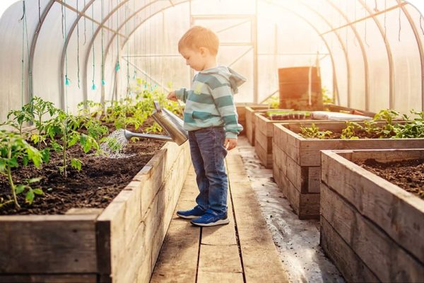 Help-Start-a-School-Garden-1000.jpg