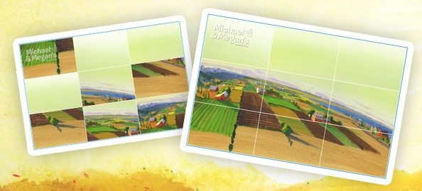 plant-a-seed-activity-Puzzle-Fun