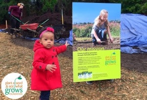 How to Start a School Garden Project