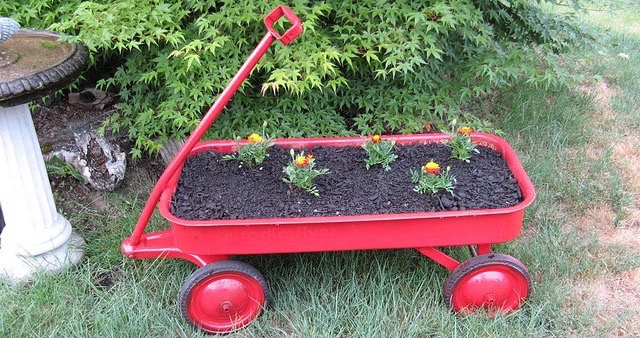 Fun Community Garden Ideas - Planting Beds