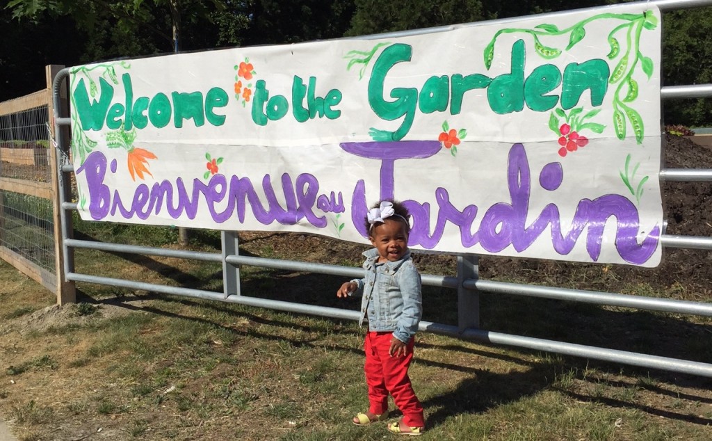 Welcome to Sutherland Secondary Market Garden