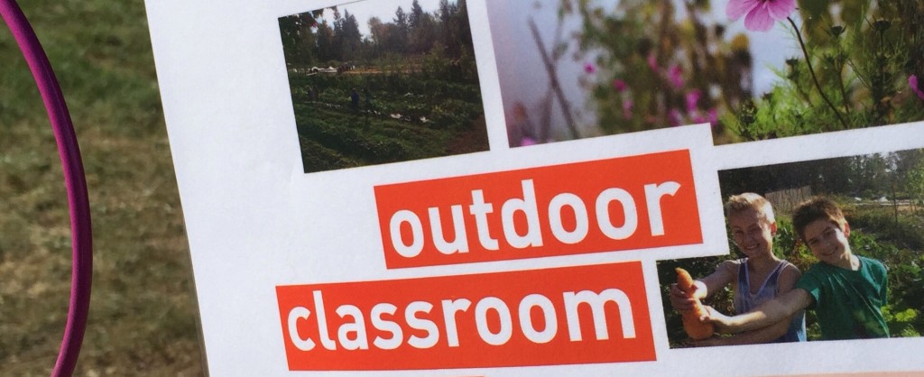 Outdoor Learning Experiences for the Summer