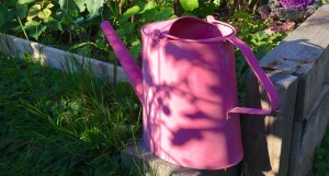 How to Brighten Up Your Community Garden