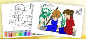 Plant A Seed Colouring Books