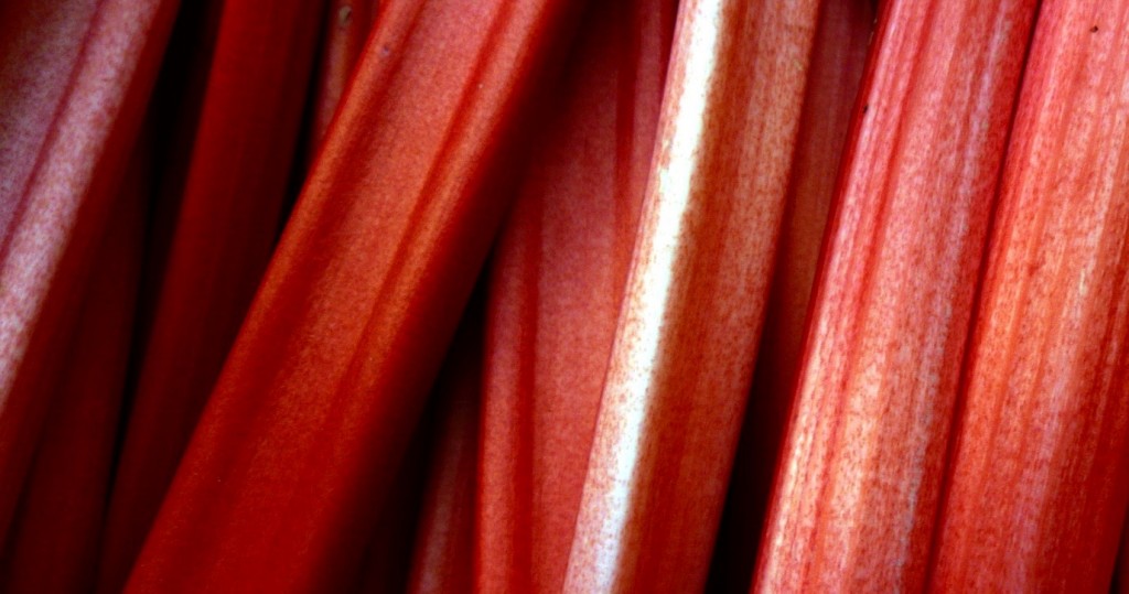 Fruit-High-in-Calcium-Rhubarb