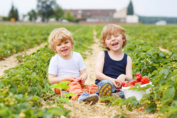 Children enjoying planting and gardening