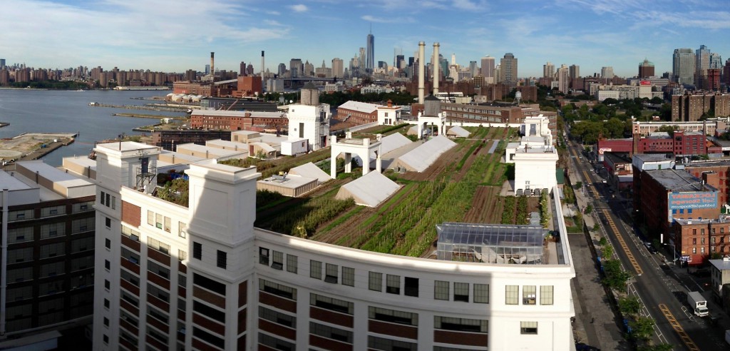 Unique-Urban-and-Community-Gardens-Roof