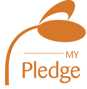 My pledge