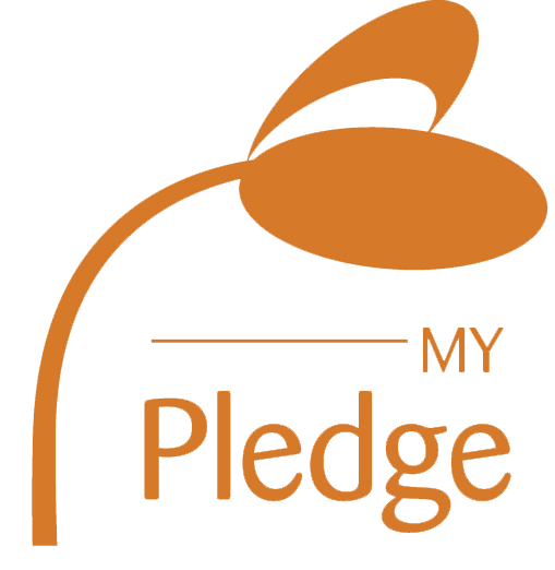 My pledge