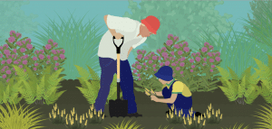 Matrix Gardening for Community Garden Programs