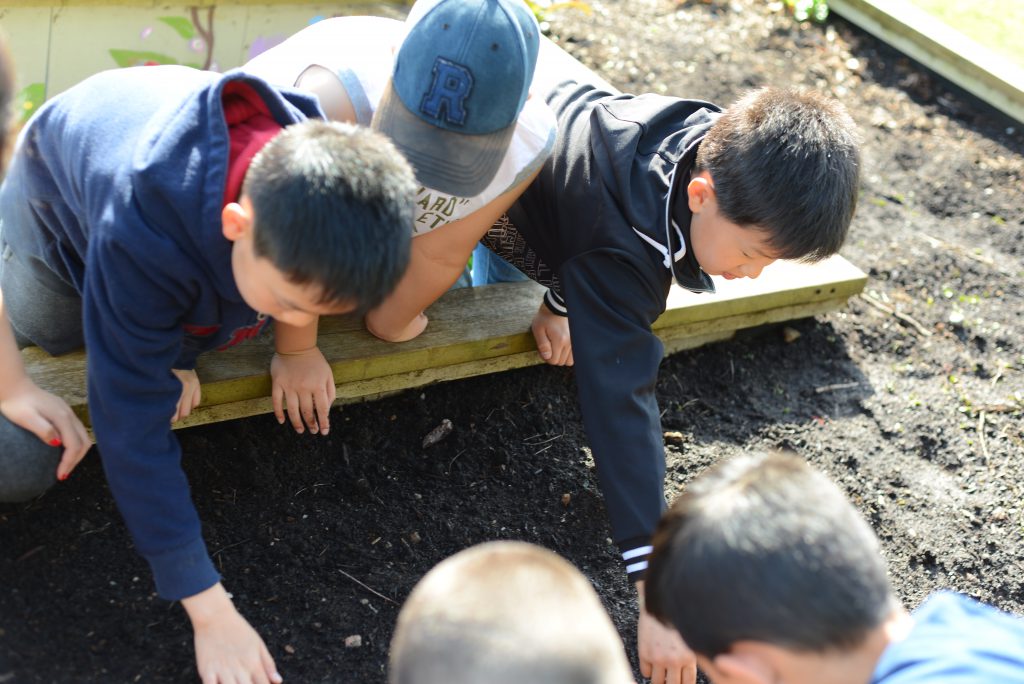 Students planting seeds