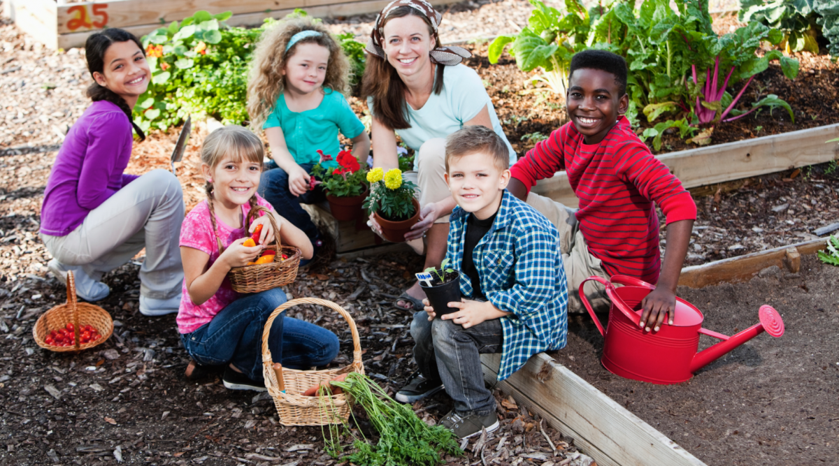 Featured image of post Garden Images With Children : The whole family can share the joy of gardening.