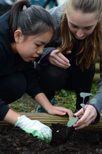 Two Lochdale Community School students planting