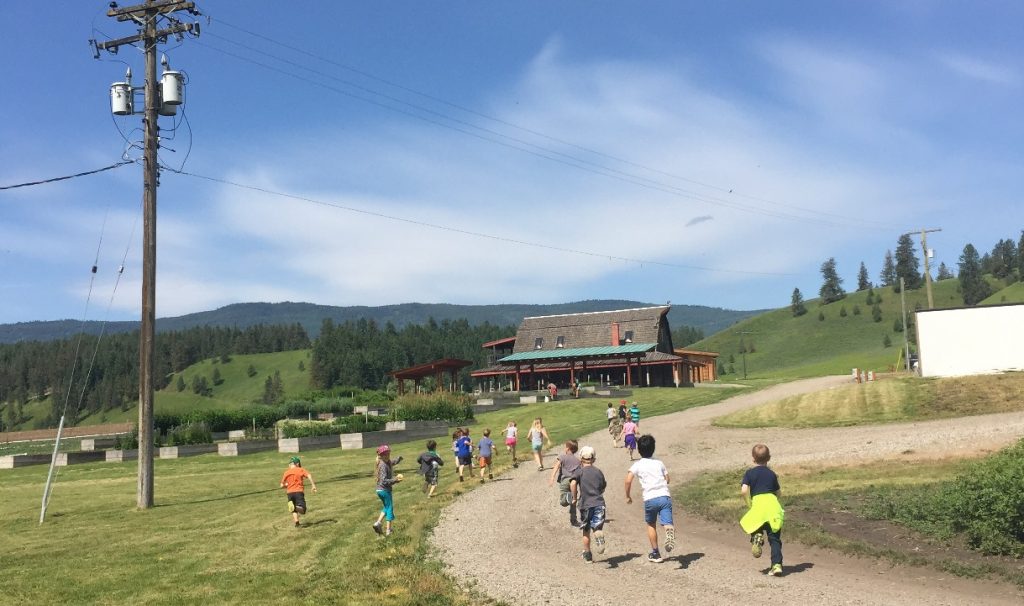 Young kids running in a farm.