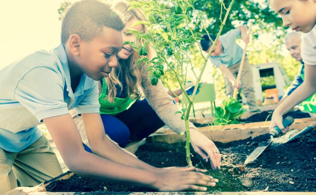 How To Celebrate World Food Day In School