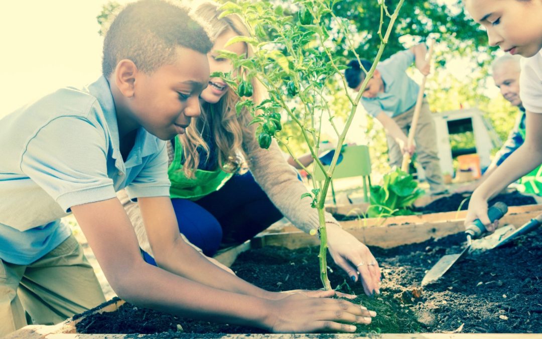 How to Celebrate World Food Day in School and at Home