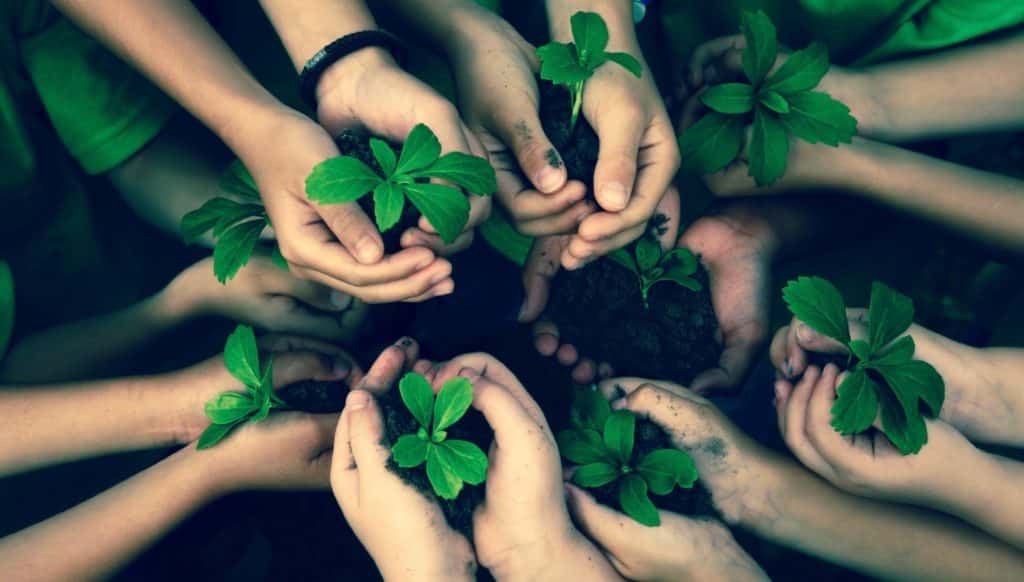 How to Celebrate World Soil Day