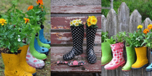 Repurposed in Community Garden
