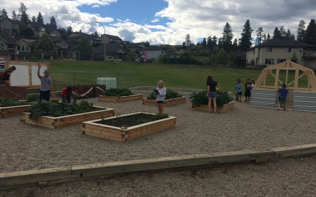 École Peter Greer Elementary Outdoor Garden – Our Learning Journey