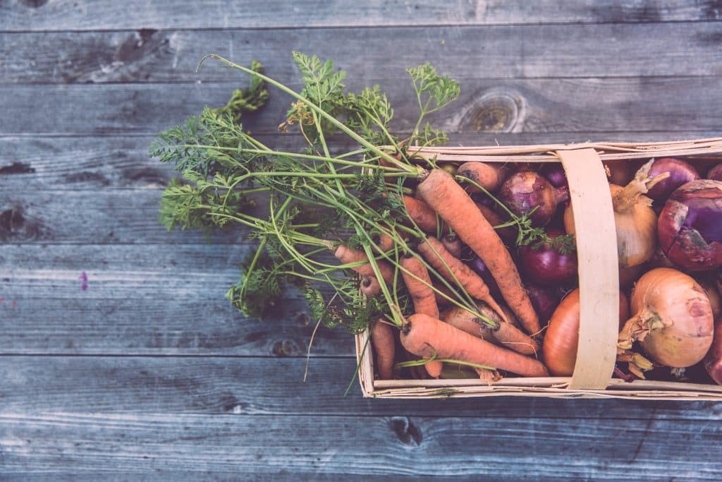 Where Does Community Garden Food Go