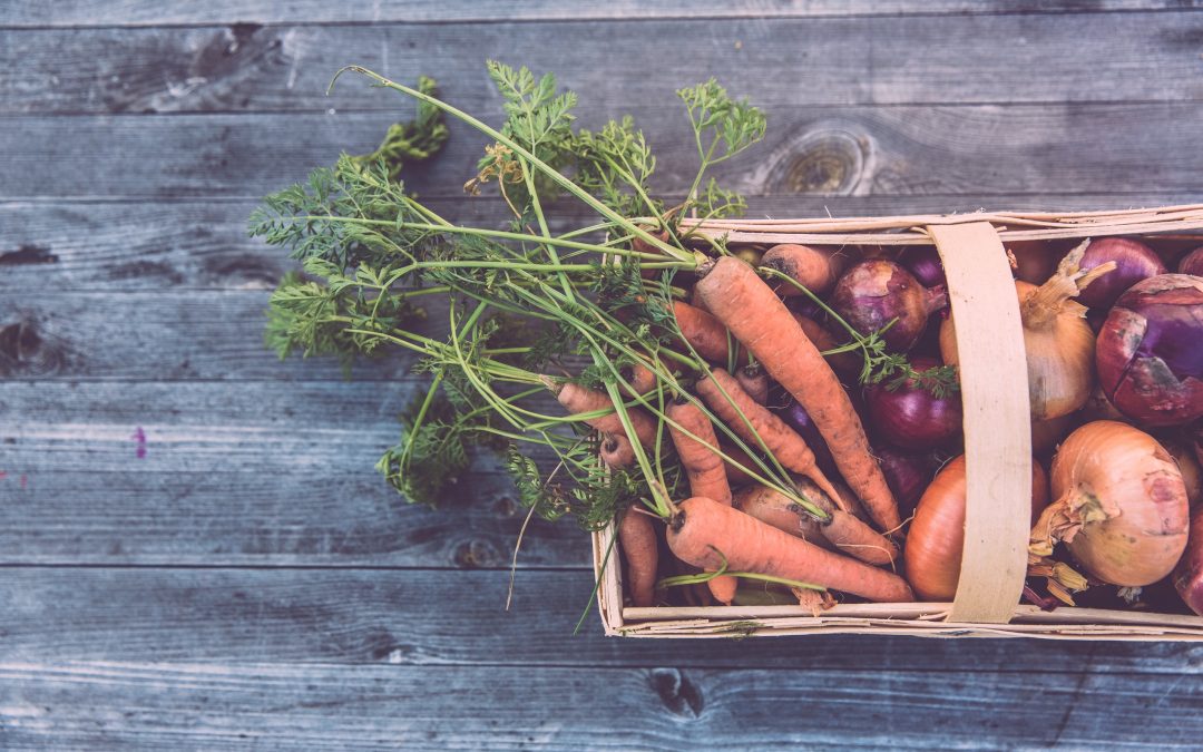 Where Does Community Garden Food Go?