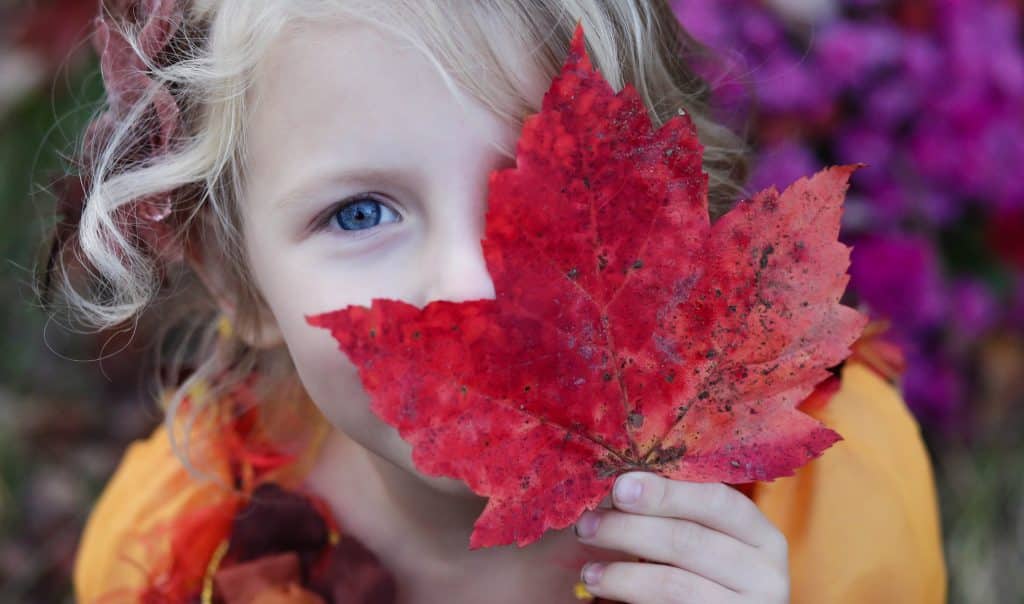 How to Celebrate Universal Children's Day in School and at Home
