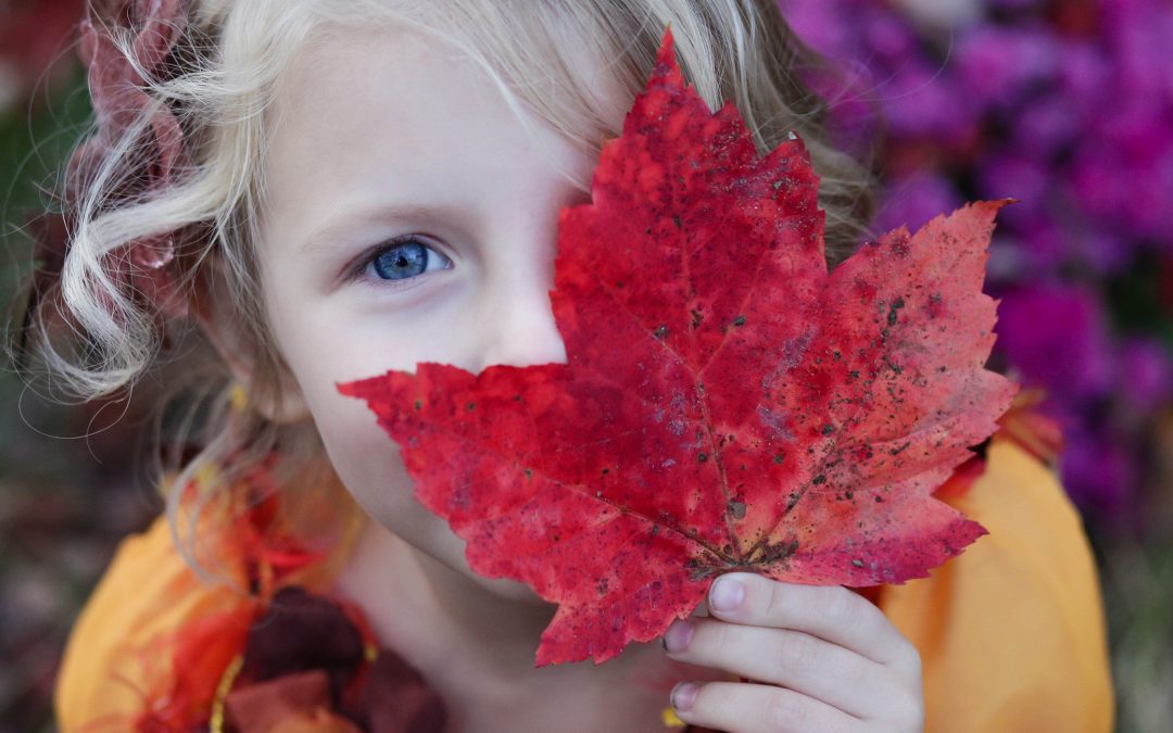 How to Celebrate Universal Children’s Day in School and at Home