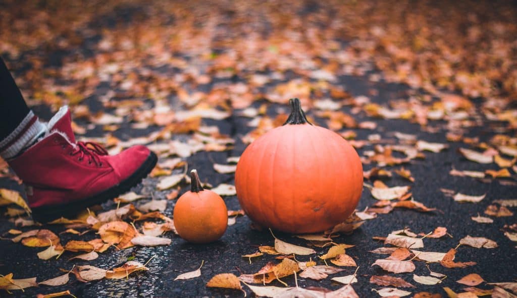 What to Do With Used Pumpkins