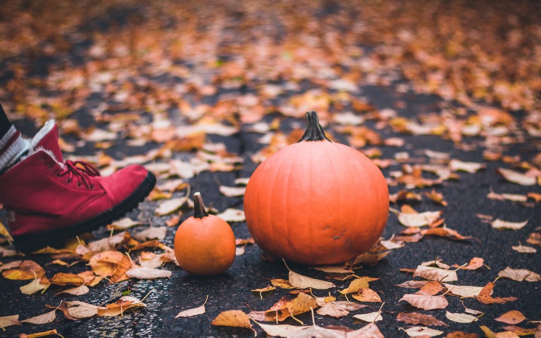 What to Do With Used Pumpkins – Learning Projects for Your Kids