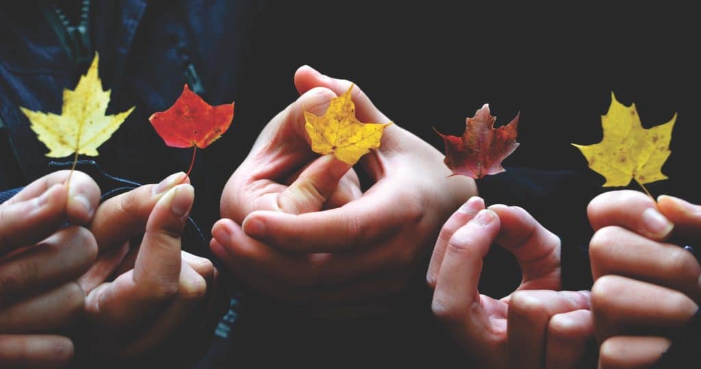 Why Donate to a Foundation