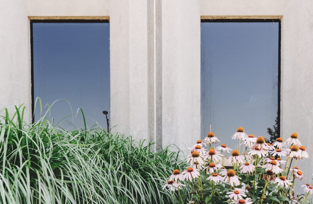 Pollinators in an Urban Environment