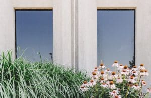 Pollinators in an Urban Environment