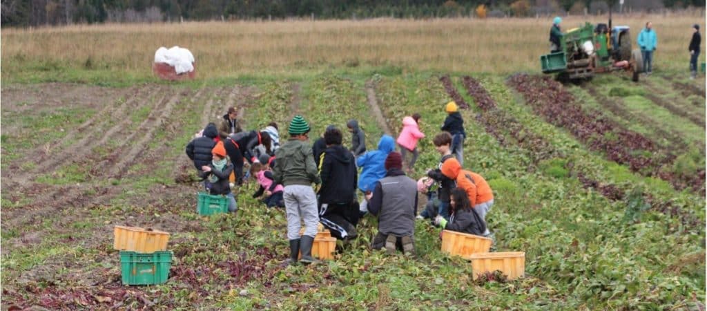 Farm Visits