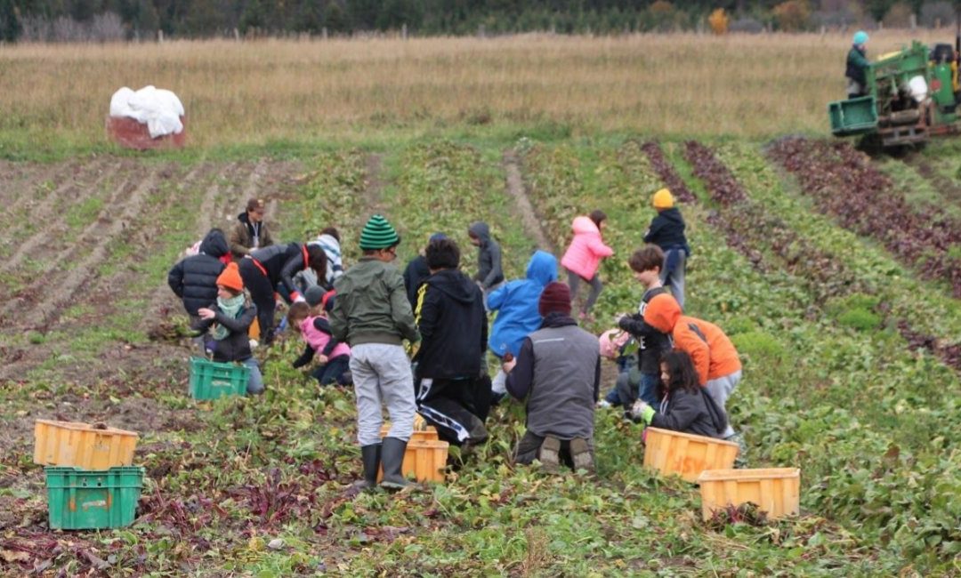 More Farm Visits on the Horizon for the New School Year